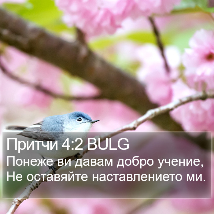 Притчи 4:2 BULG Bible Study