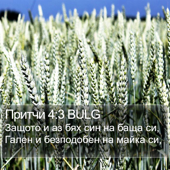 Притчи 4:3 BULG Bible Study