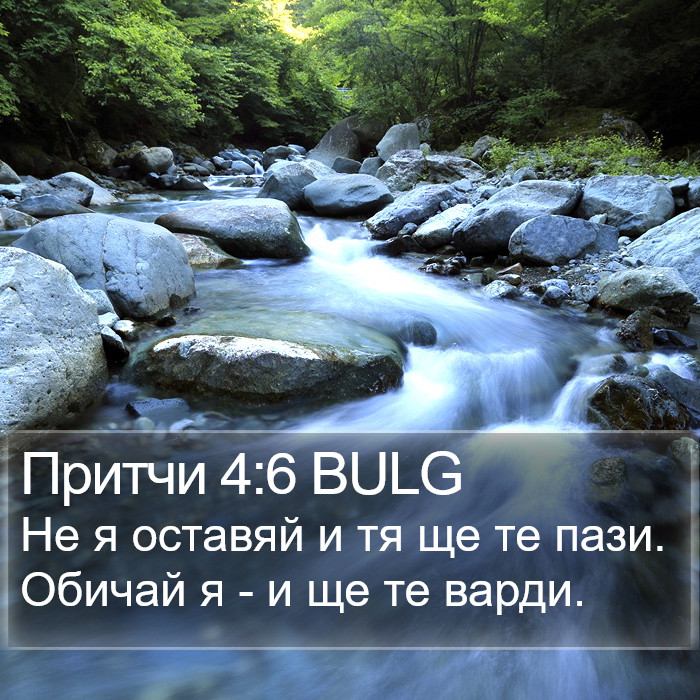 Притчи 4:6 BULG Bible Study