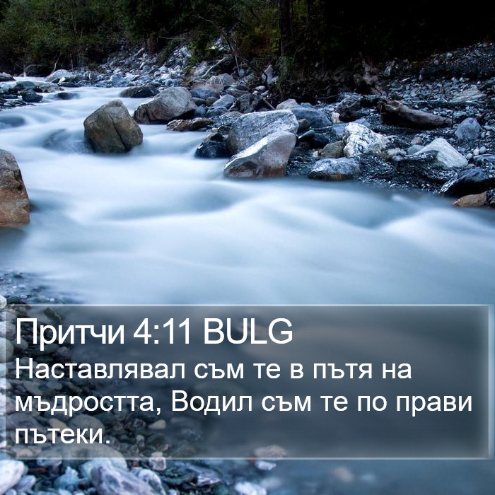 Притчи 4:11 BULG Bible Study