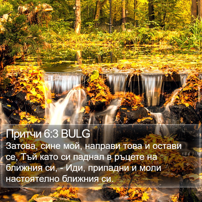 Притчи 6:3 BULG Bible Study