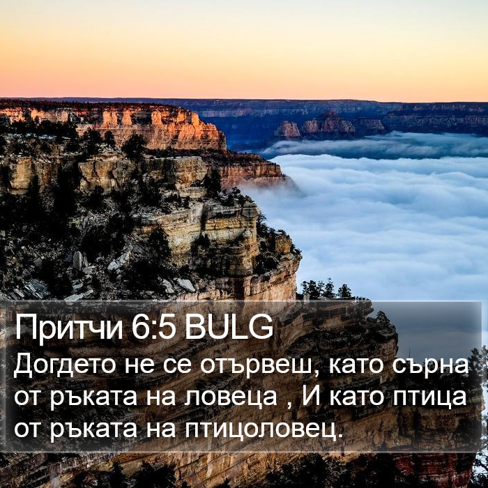 Притчи 6:5 BULG Bible Study