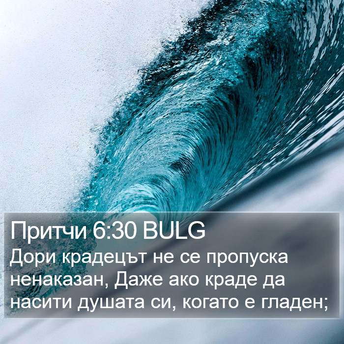 Притчи 6:30 BULG Bible Study