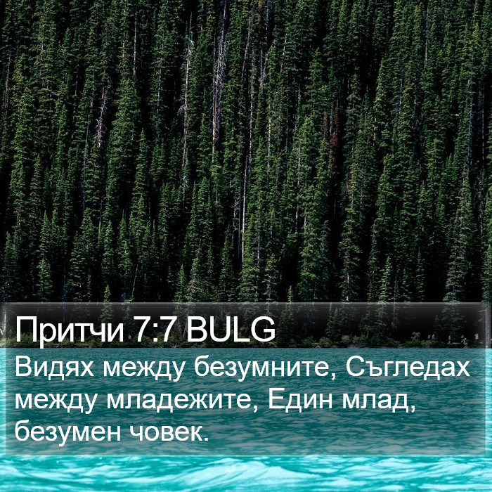 Притчи 7:7 BULG Bible Study