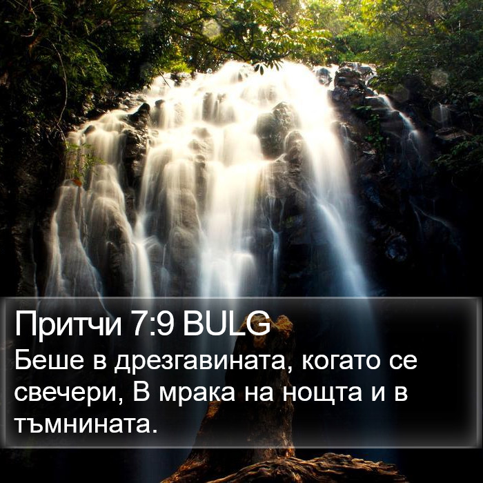 Притчи 7:9 BULG Bible Study