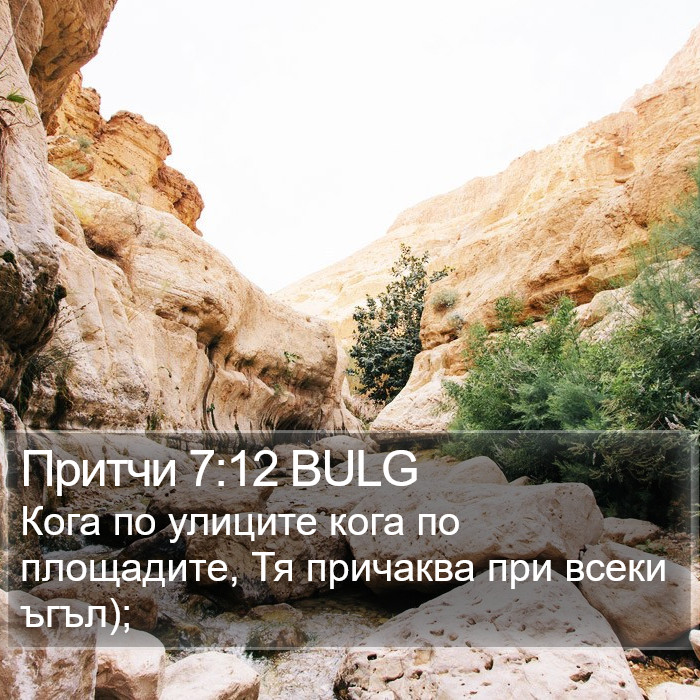 Притчи 7:12 BULG Bible Study