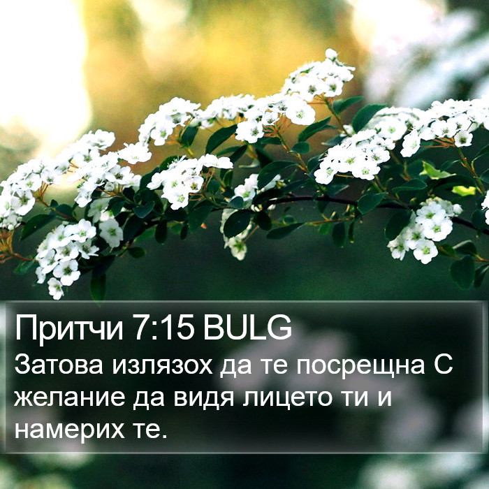 Притчи 7:15 BULG Bible Study