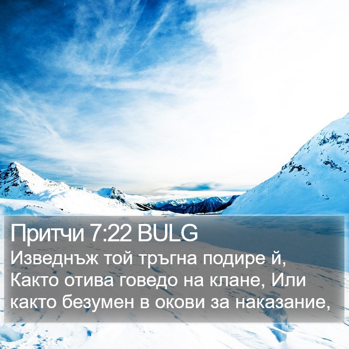 Притчи 7:22 BULG Bible Study