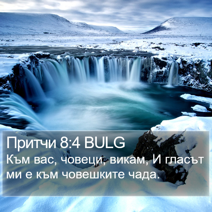 Притчи 8:4 BULG Bible Study