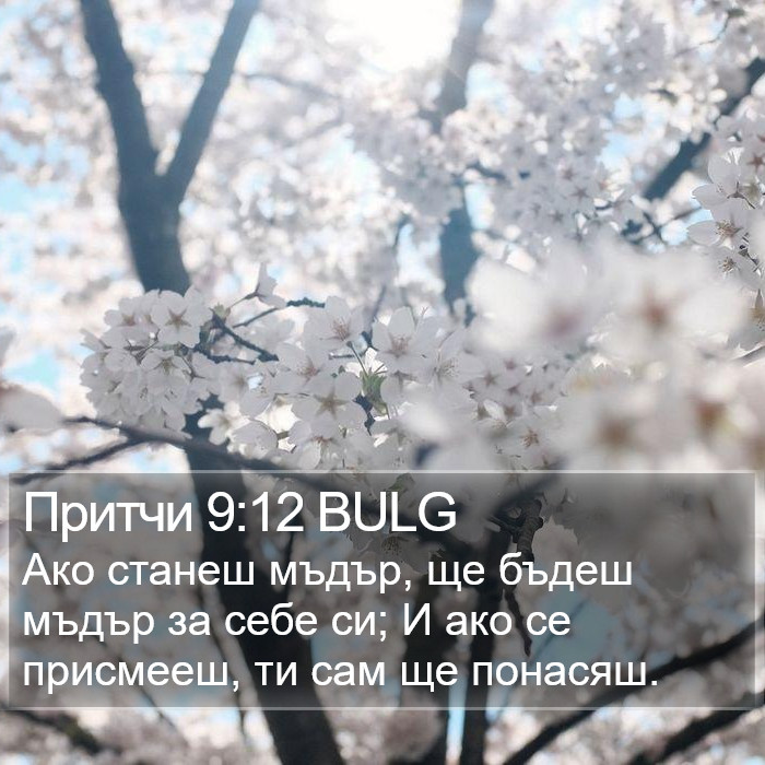 Притчи 9:12 BULG Bible Study