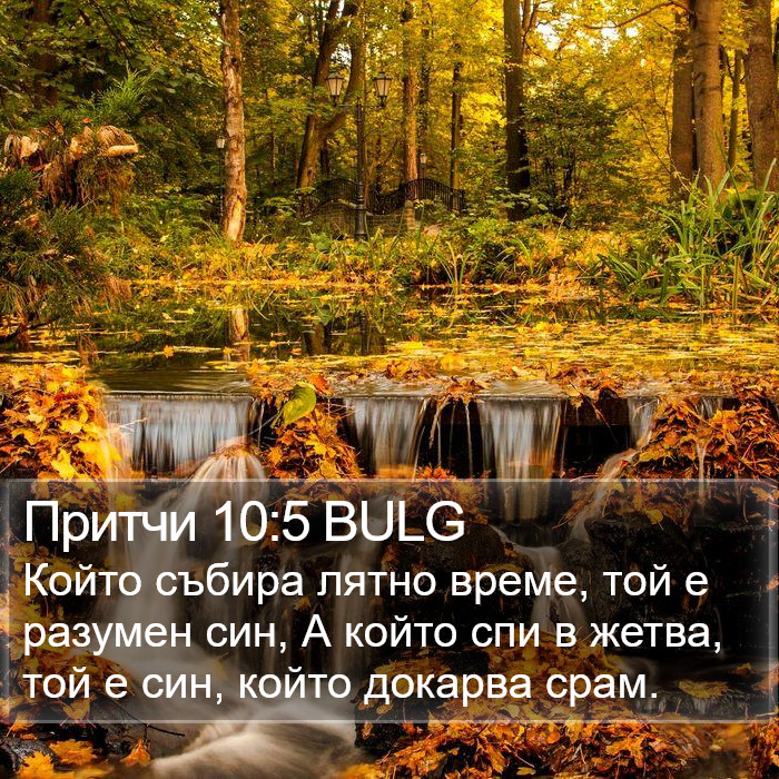 Притчи 10:5 BULG Bible Study