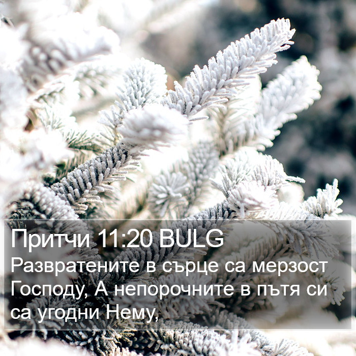 Притчи 11:20 BULG Bible Study