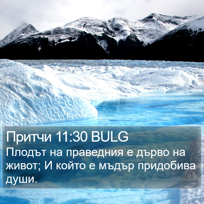 Притчи 11:30 BULG Bible Study