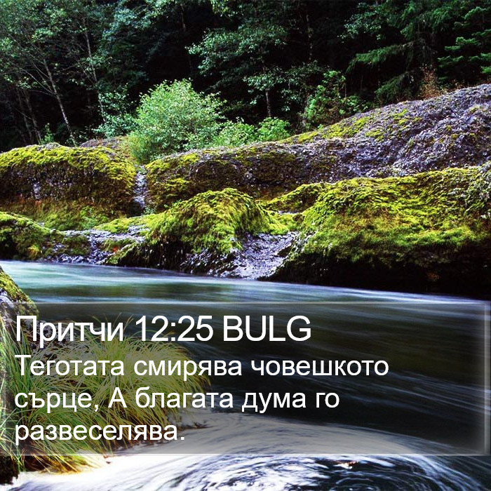 Притчи 12:25 BULG Bible Study