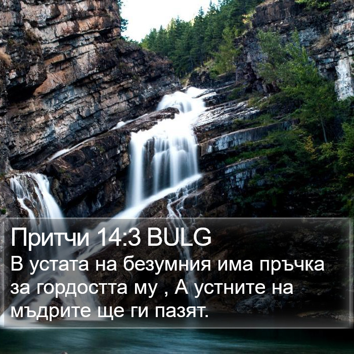 Притчи 14:3 BULG Bible Study