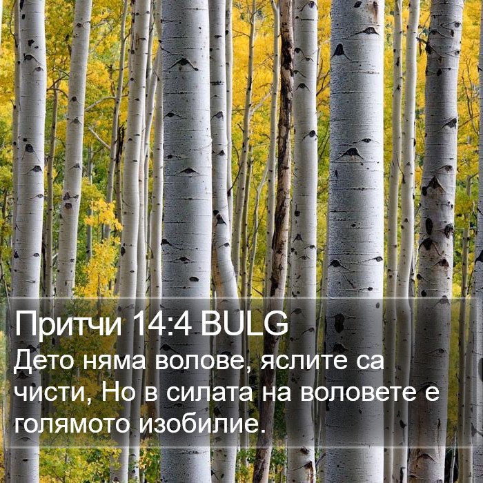 Притчи 14:4 BULG Bible Study