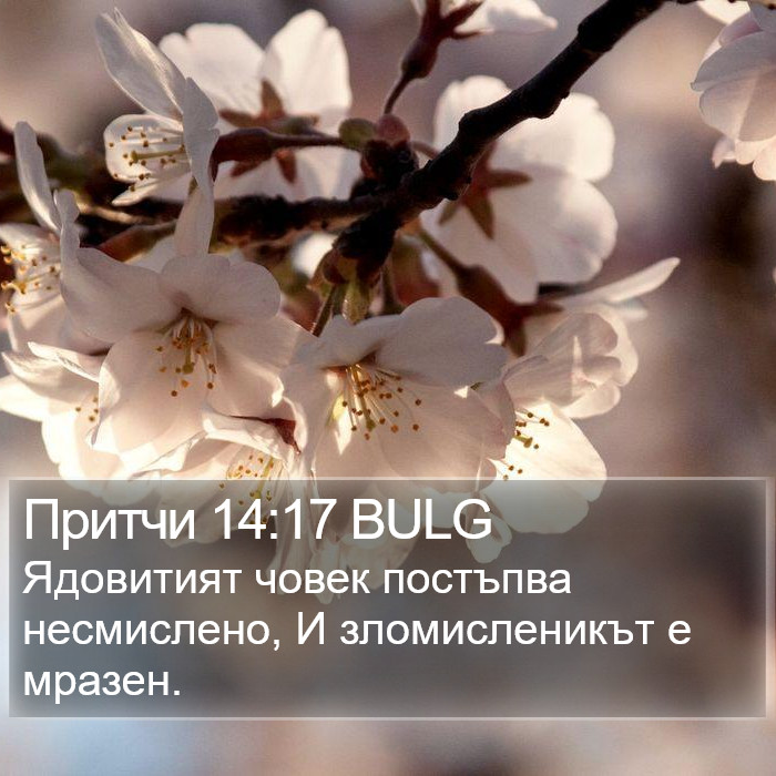 Притчи 14:17 BULG Bible Study