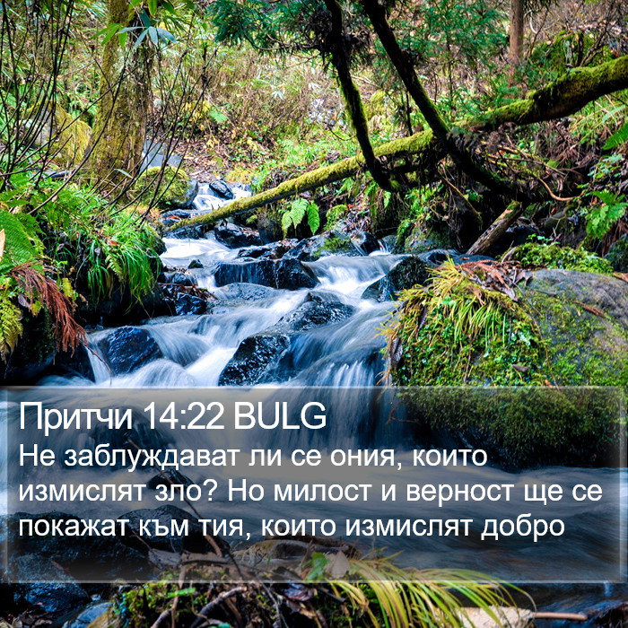 Притчи 14:22 BULG Bible Study