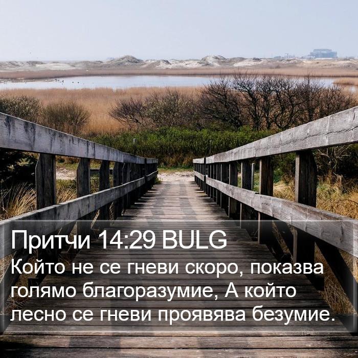 Притчи 14:29 BULG Bible Study