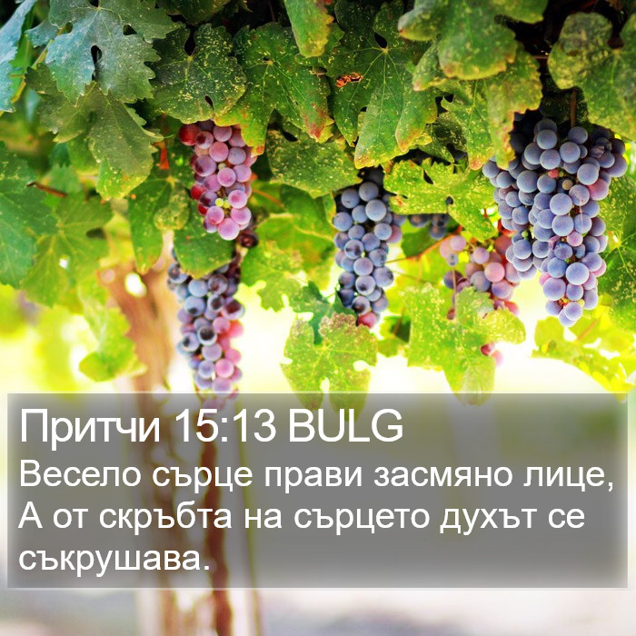 Притчи 15:13 BULG Bible Study