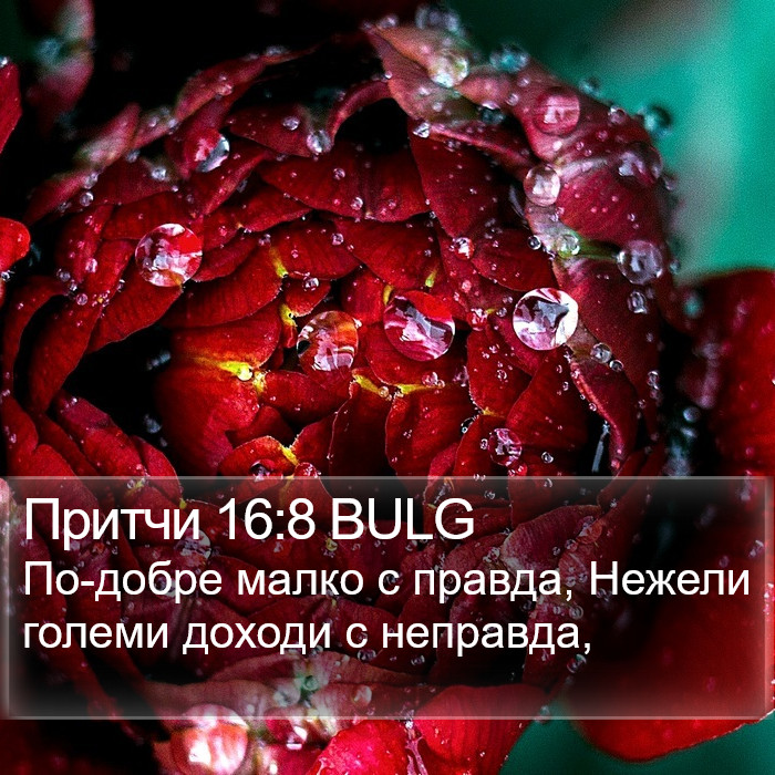 Притчи 16:8 BULG Bible Study