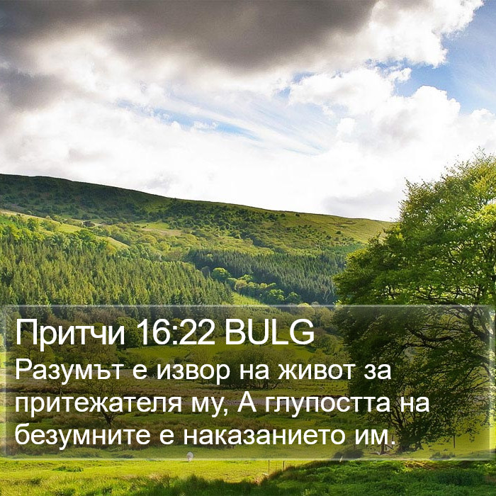 Притчи 16:22 BULG Bible Study