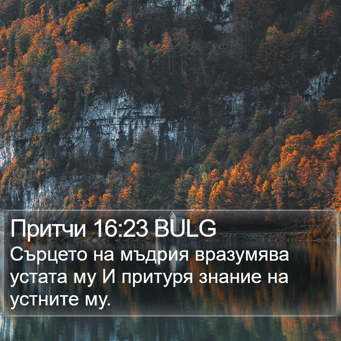 Притчи 16:23 BULG Bible Study