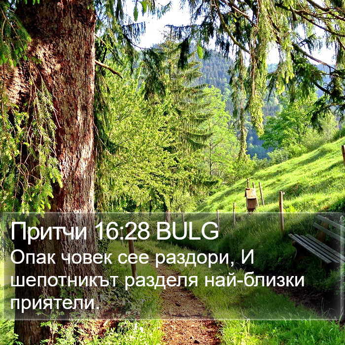 Притчи 16:28 BULG Bible Study