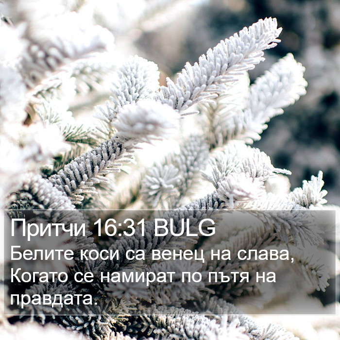 Притчи 16:31 BULG Bible Study