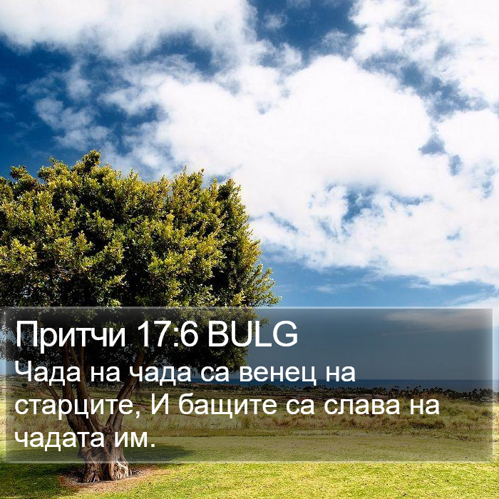 Притчи 17:6 BULG Bible Study