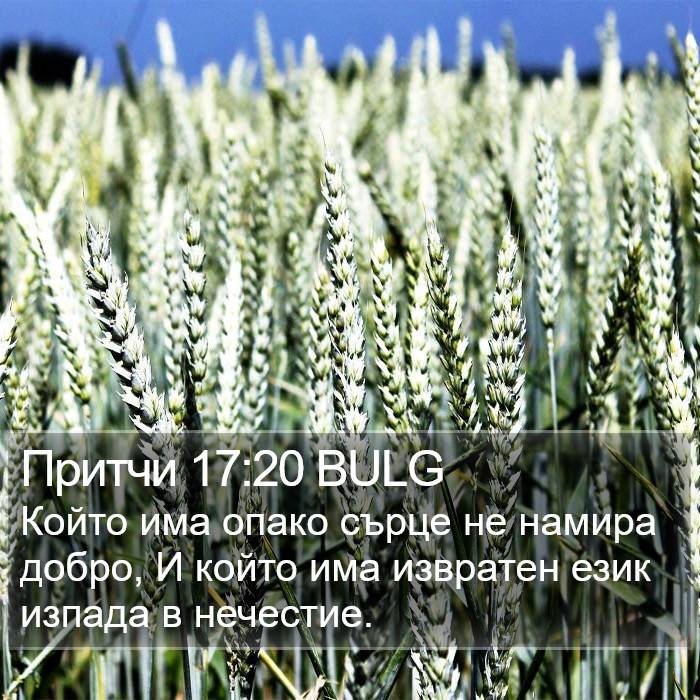 Притчи 17:20 BULG Bible Study