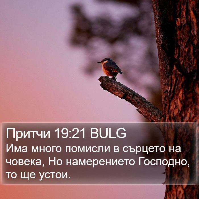 Притчи 19:21 BULG Bible Study