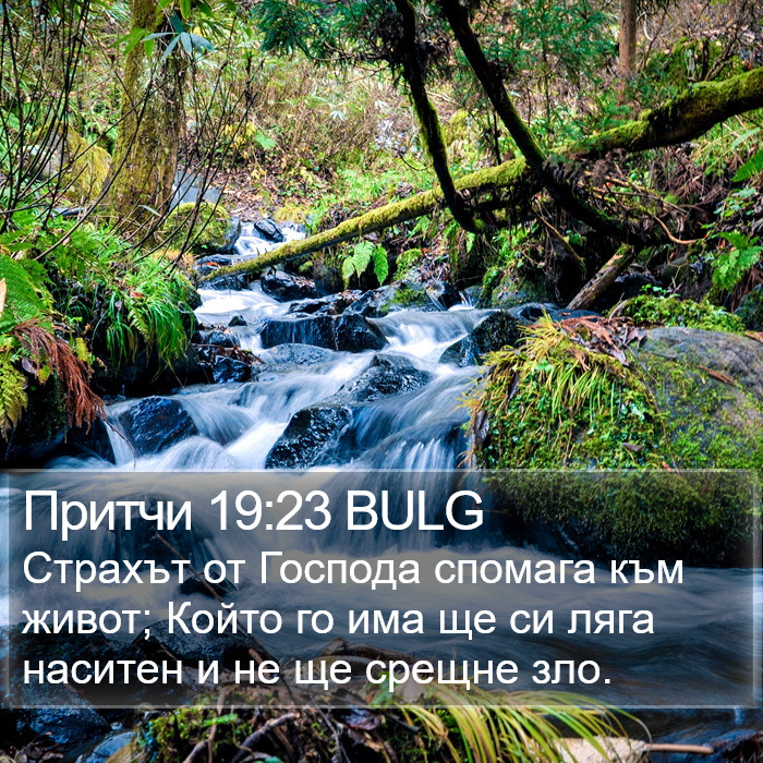 Притчи 19:23 BULG Bible Study