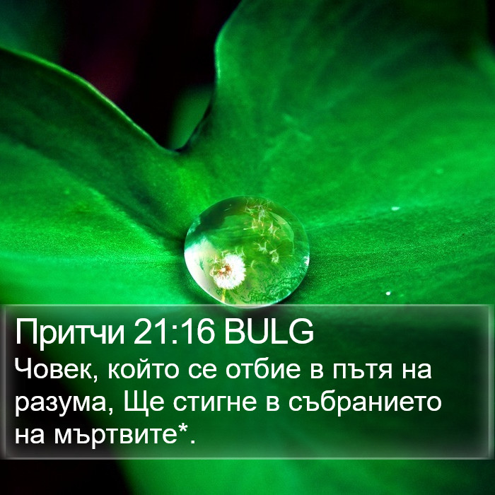 Притчи 21:16 BULG Bible Study