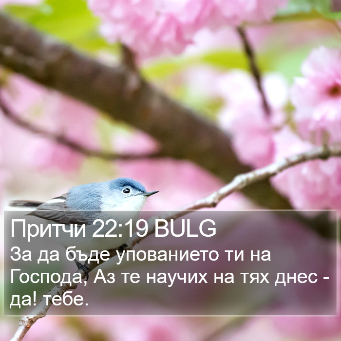 Притчи 22:19 BULG Bible Study