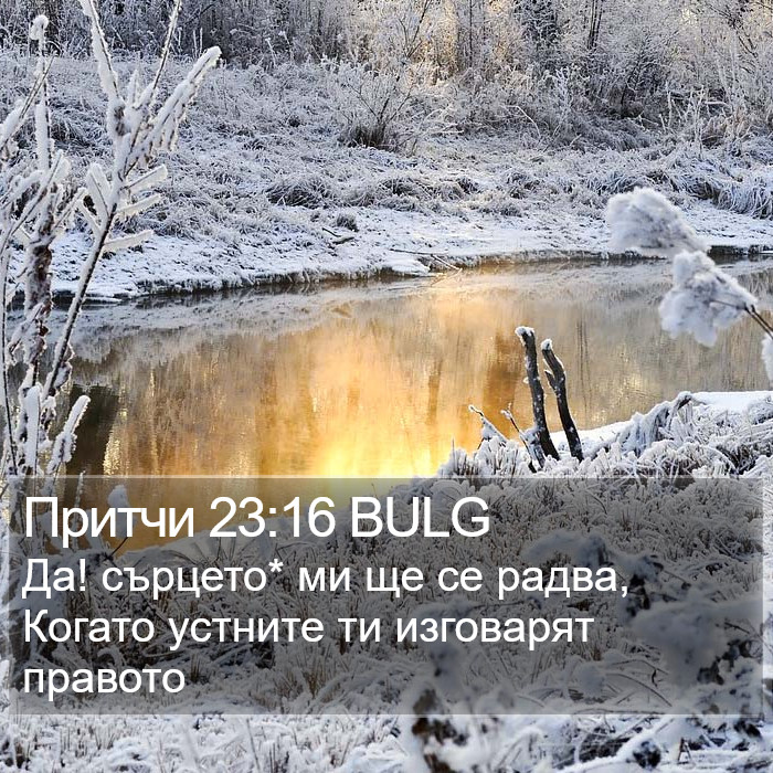 Притчи 23:16 BULG Bible Study