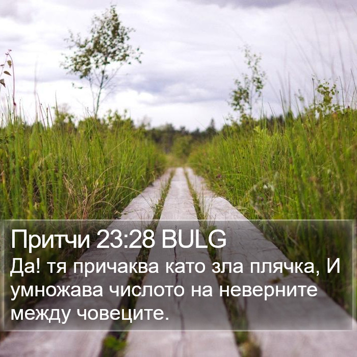 Притчи 23:28 BULG Bible Study