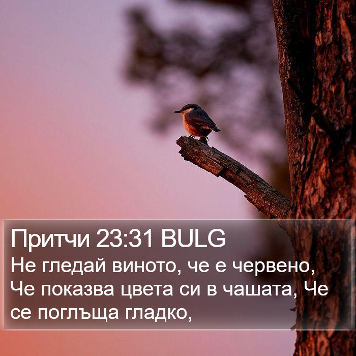 Притчи 23:31 BULG Bible Study