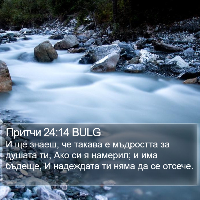 Притчи 24:14 BULG Bible Study