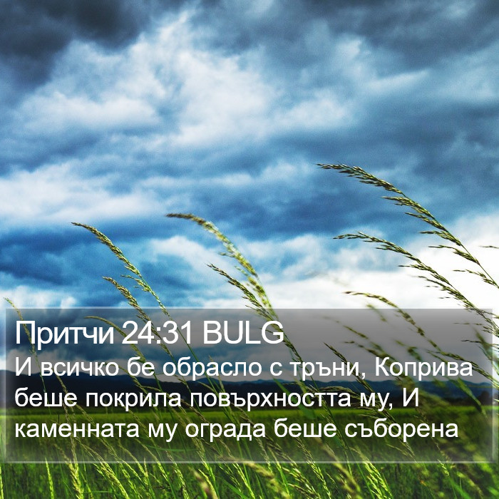 Притчи 24:31 BULG Bible Study