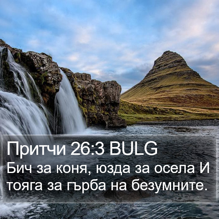 Притчи 26:3 BULG Bible Study