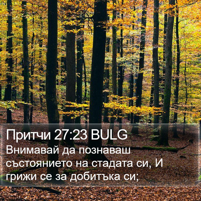 Притчи 27:23 BULG Bible Study