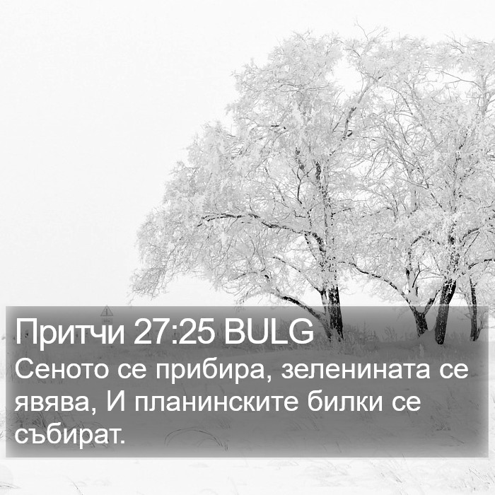 Притчи 27:25 BULG Bible Study