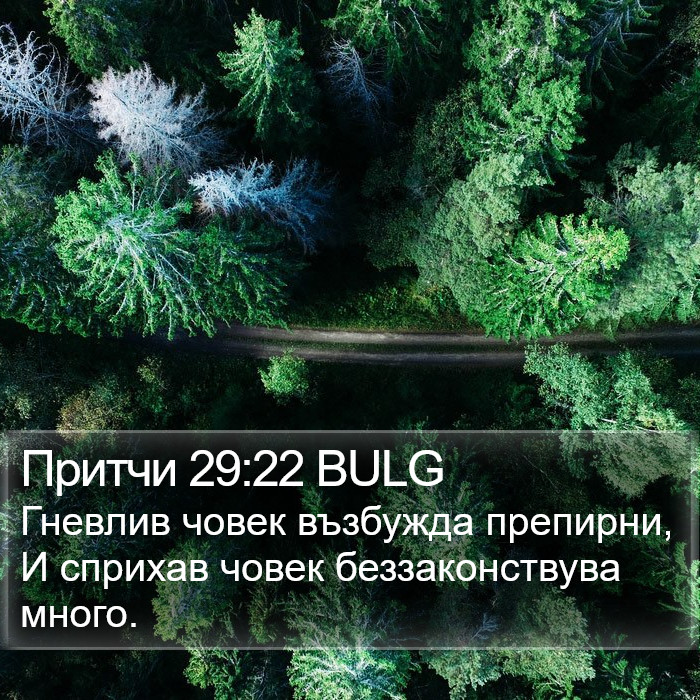 Притчи 29:22 BULG Bible Study