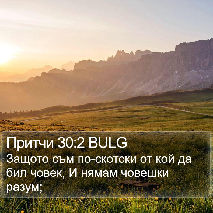 Притчи 30:2 BULG Bible Study