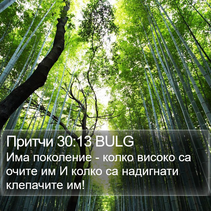 Притчи 30:13 BULG Bible Study