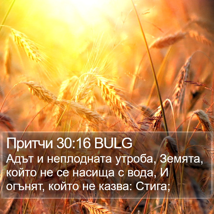 Притчи 30:16 BULG Bible Study