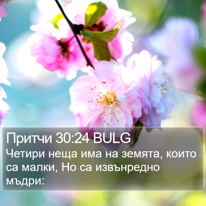 Притчи 30:24 BULG Bible Study