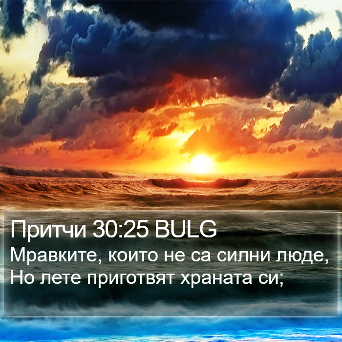 Притчи 30:25 BULG Bible Study