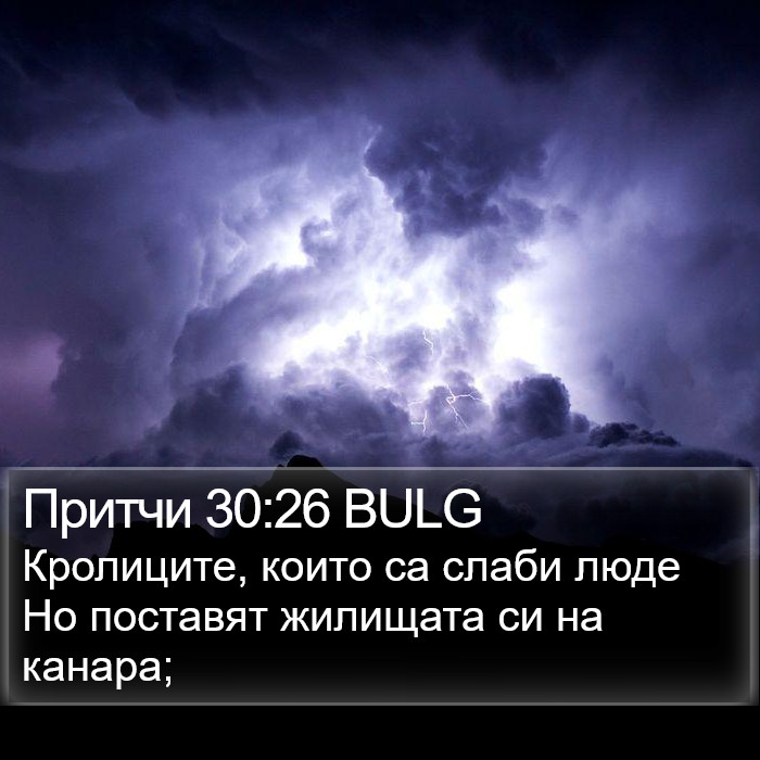 Притчи 30:26 BULG Bible Study